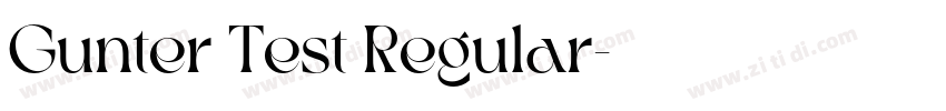 Gunter Test Regular字体转换